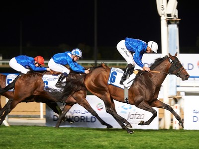 Preview: Nad Al Sheba Turf Sprint Image 1