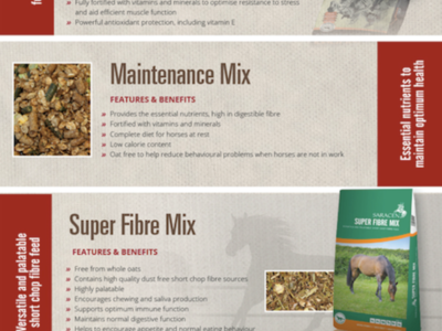 Vitamins and Minerals For Optimum Racehorse Health Image 4