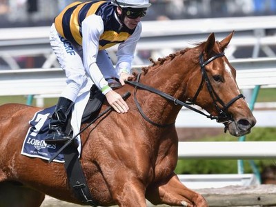 Preview: Gr1 Australian Cup Image 2