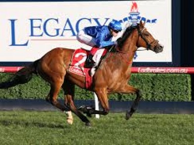 Preview: Gr1 Australian Cup Image 1