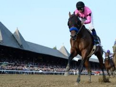 West Coast Has Dubai World Cup In Sight Image 1