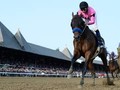 West Coast Has Dubai World Cup In Sight