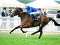 Vazirabad To Fight Off Dubawi Gelding In Gold Cup