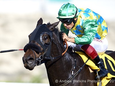 Review: Jebel Ali Season Penultimate Race Meeting Image 3