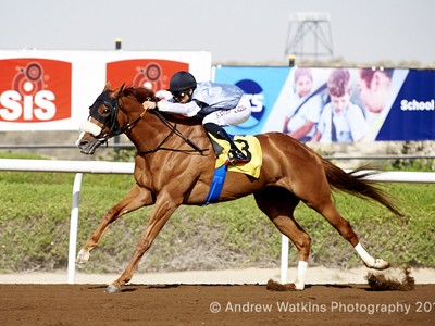 Review: Jebel Ali Season Penultimate Race Meeting Image 1