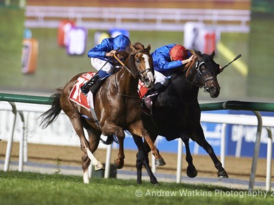 Review: Super Saturday at Meydan Race Course Image 7