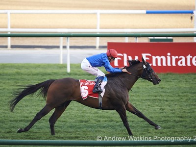 Review: Super Saturday at Meydan Race Course Image 5