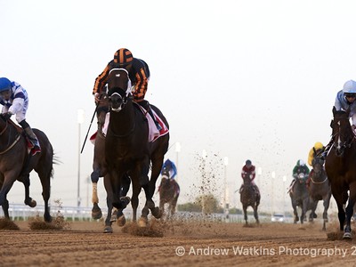 Review: Super Saturday at Meydan Race Course Image 6