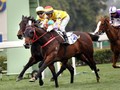 Preview: Hong Kong Derby 2018