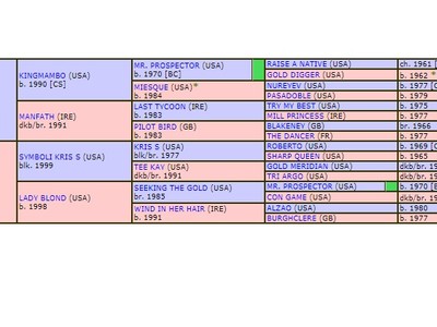 Rey De Oro Hopes To Conquer Sheema Classic Crown Image 2