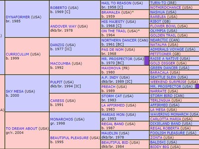 Preview:Godolphin Mile Image 4