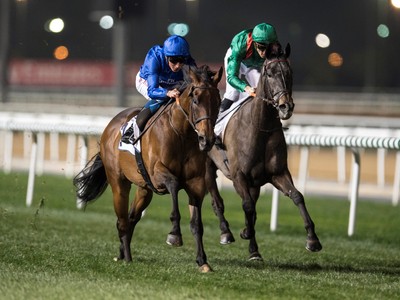 Preview: 2018 Dubai Gold Cup Image 3