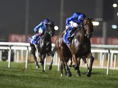 Preview: 2018 Dubai Turf Image 4