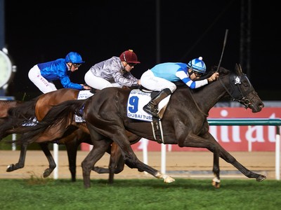 Preview: 2018 Dubai Turf Image 1