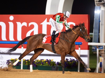 Preview: 2018 Dubai World Cup Image 2