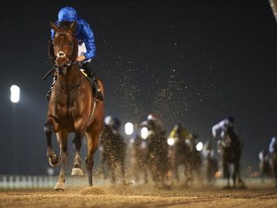 Preview: 2018 UAE Derby Image 3