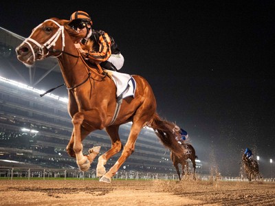 Preview: 2018 UAE Derby Image 1