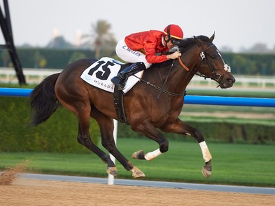 Preview: 2018 UAE Derby Image 4