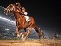 Preview: 2018 UAE Derby