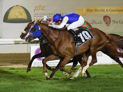 Preview: 2018 Dubai Kahayla Classic Image 4