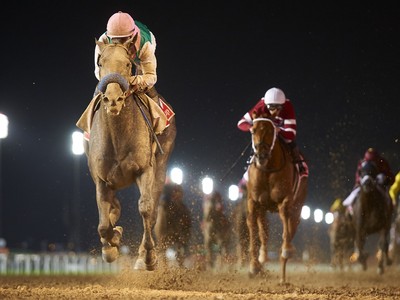 Review: 2017 Dubai World Cup Image 1