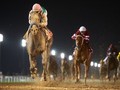 Review: 2017 Dubai World Cup