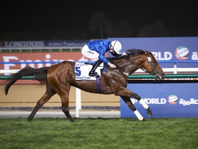 Review: 2018 Dubai Turf Image 2