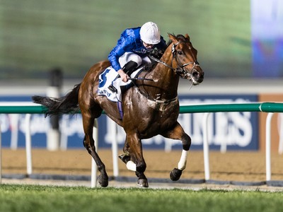 Review: 2018 Dubai Turf Image 1