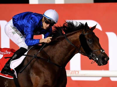 Review: 2018 Dubai World Cup Image 1