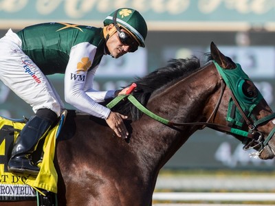 Bolt d Oro Strong Contender For Santa Anita Derby Image 1