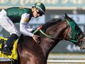 Bolt d Oro Strong Contender For Santa Anita Derby