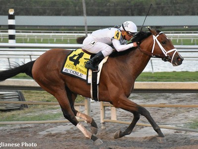 Audible Makes Florida Derby Statement Image 1