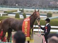 Preview: Gr.1 Oka Sho (Japanese 1000 Guineas)