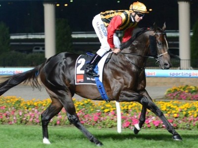 Boom stallion dominates March sale Image 1