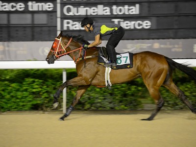 Fifth Chengdu Dubai International Cup Image 3