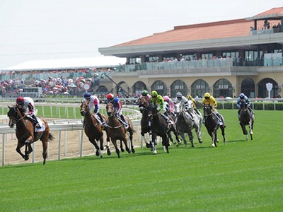 Fifth Chengdu Dubai International Cup Image 1