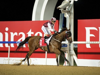 Fifth Chengdu Dubai International Cup Image 2