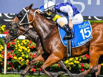 Review: 2018 Sires Produce Stakes Image 1