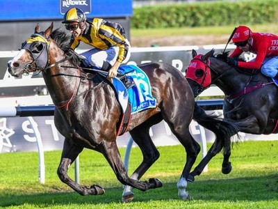 Review: 2018 T.J. Smith Stakes Image 1