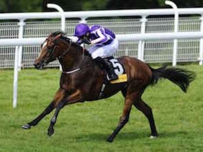 Highland Reel Shuttles To Australian Swettenham Stud Image 1