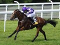 Highland Reel Shuttles To Australian Swettenham Stud