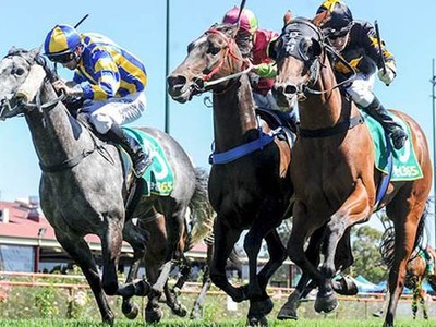 Racing On At Kilmore Image 1