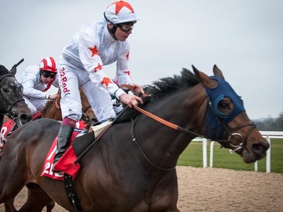 Fever Officially Rules Gronkowski Out Of Kentucky Derby Image 1