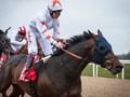 Fever Officially Rules Gronkowski Out Of Kentucky Derby