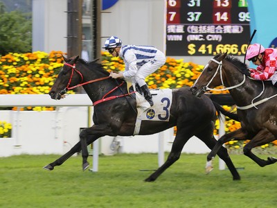 Preview: Gr.1 Champions Mile (2018, Champions Day, Hong Kong ... Image 5