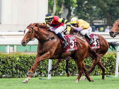 Preview: Gr.1 Chairman’s Sprint Prize (Sha Tin, Hong Kong, U ... Image 7