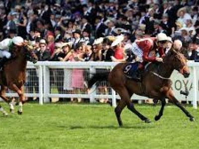 Royal Ascot 2018 - Where are 2017s champions now? Image 4