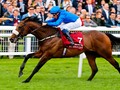 Royal Ascot 2018 - Where are 2017s champions now?