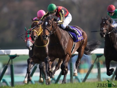 Preview: Gr.1 Audemars Piguet QEII Cup (2000m Sha Tin, Hong  ... Image 1