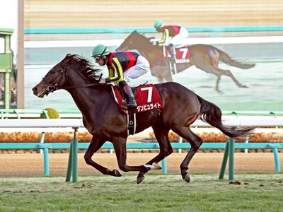 Preview: Gr.1 Audemars Piguet QEII Cup (2000m Sha Tin, Hong  ... Image 4